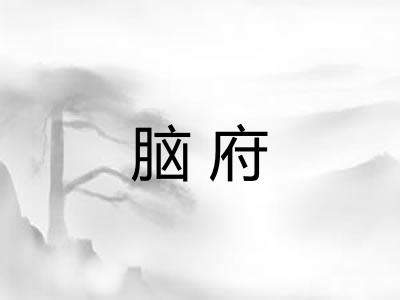 脑府