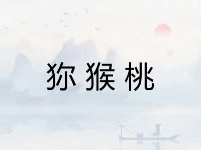 狝猴桃
