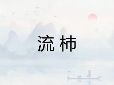 流杮