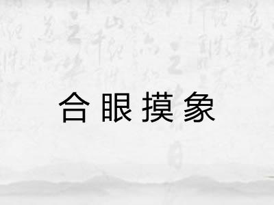 合眼摸象