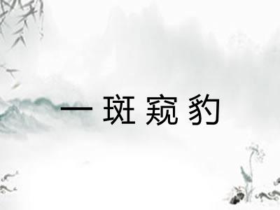 一斑窥豹