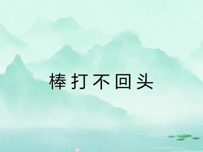 棒打不回头