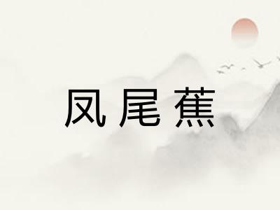 凤尾蕉