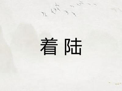 着陆