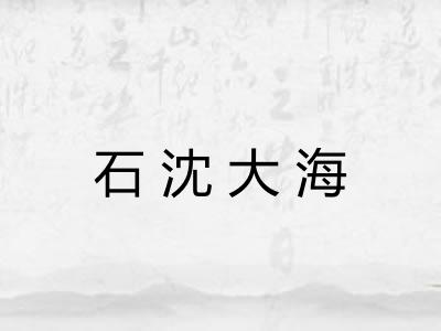 石沈大海