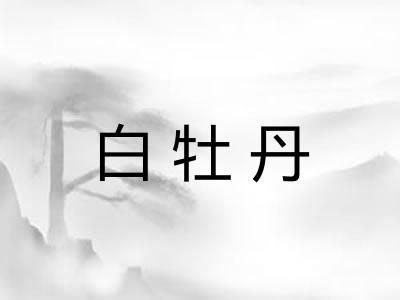 白牡丹