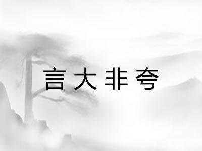 言大非夸