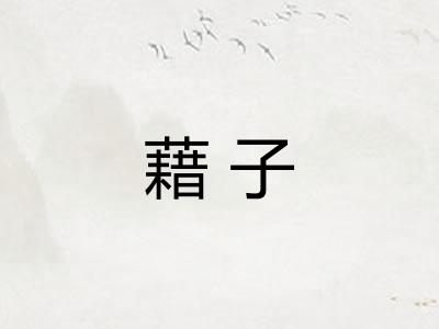 藉子