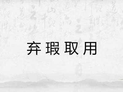 弃瑕取用