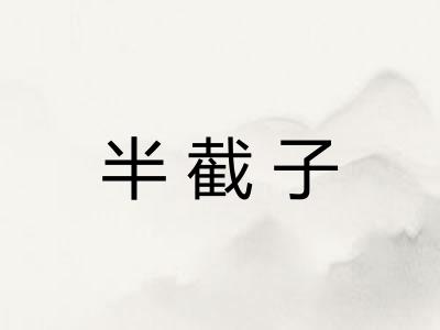 半截子