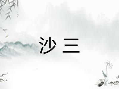 沙三