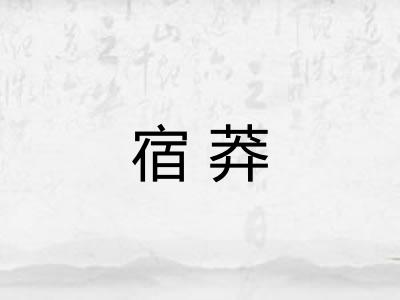 宿莽