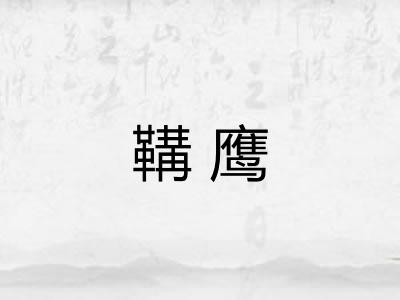 鞲鹰