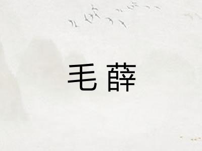 毛薛