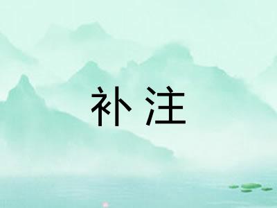补注