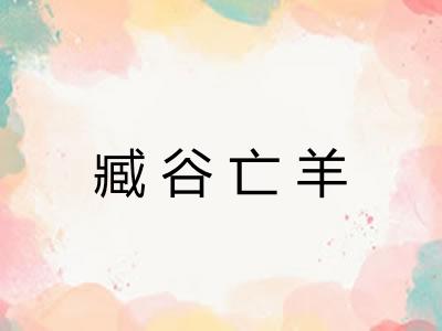 臧谷亡羊