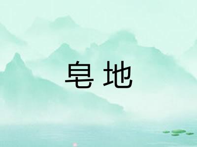 皂地