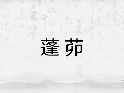 蓬茆