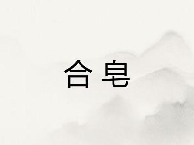 合皂