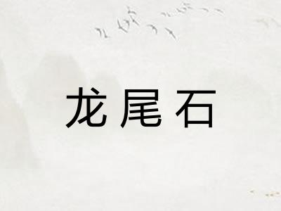 龙尾石