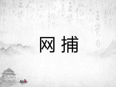 网捕