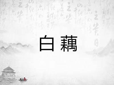 白藕