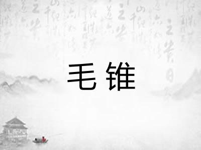毛锥