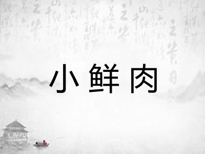 小鲜肉