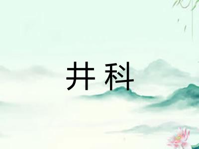 井科