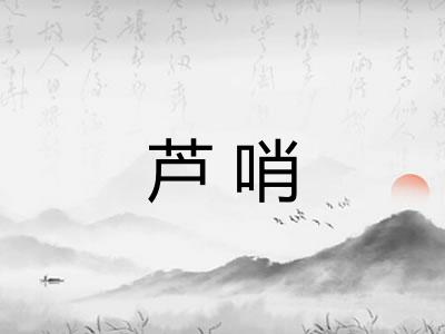 芦哨