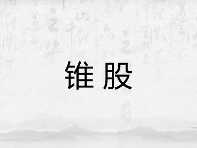 锥股