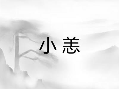小恙