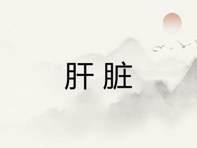 肝脏