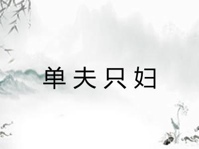 单夫只妇