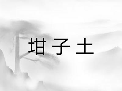 坩子土