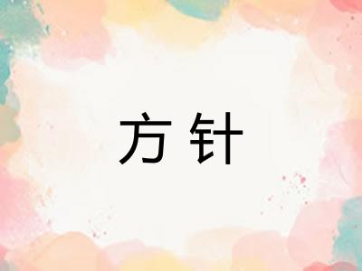 方针