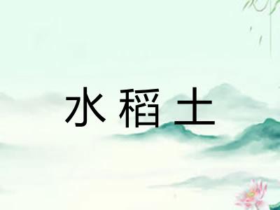 水稻土