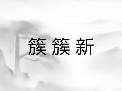 簇簇新
