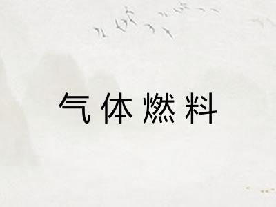 气体燃料