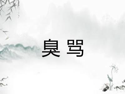 臭骂