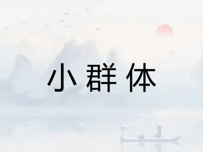 小群体