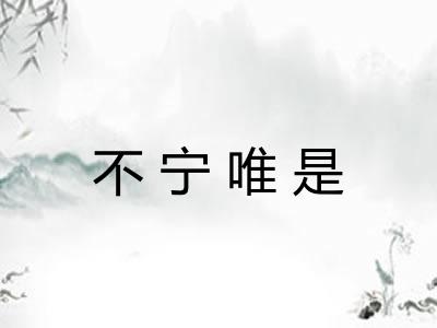 不宁唯是
