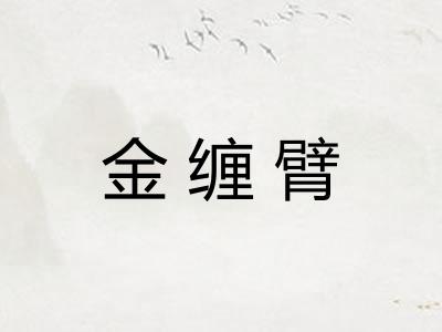 金缠臂 金缠臂