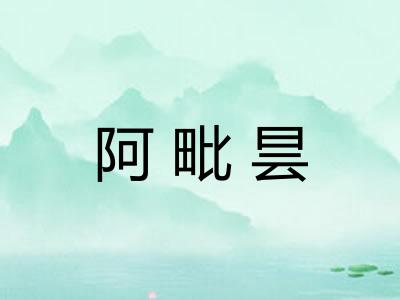 阿毗昙
