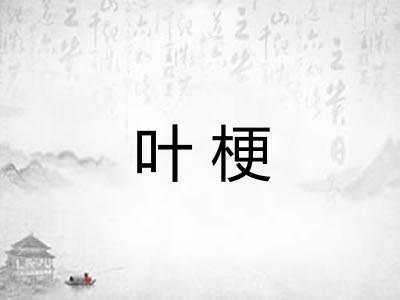 叶梗