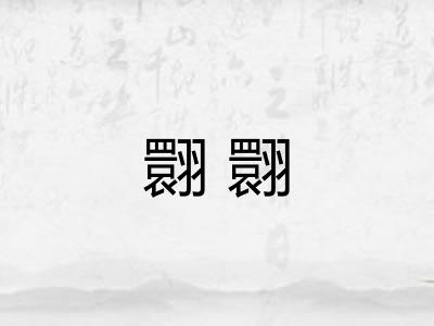 翾翾