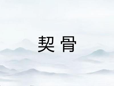 契骨