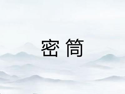 密筒