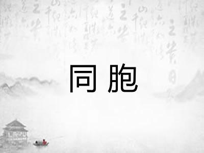 同胞