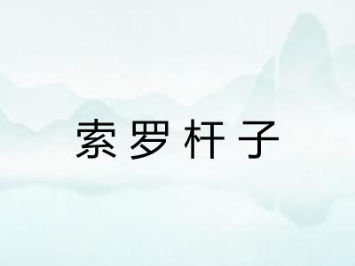 索罗杆子